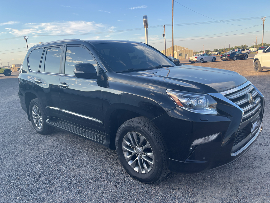 2019 Lexus GX 460 Luxury photo 3