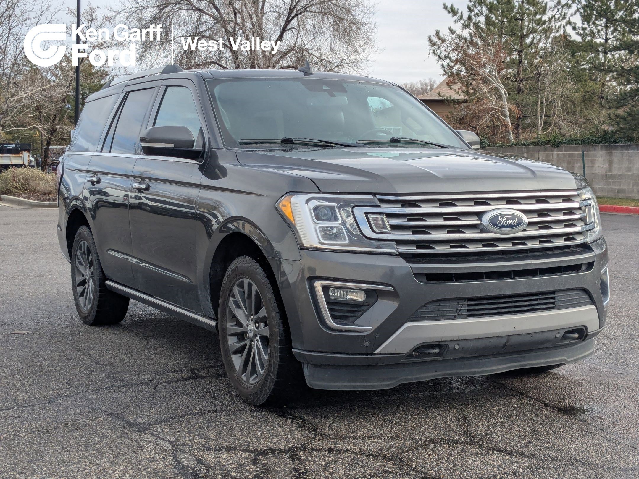 2020 Ford Expedition Limited's photo