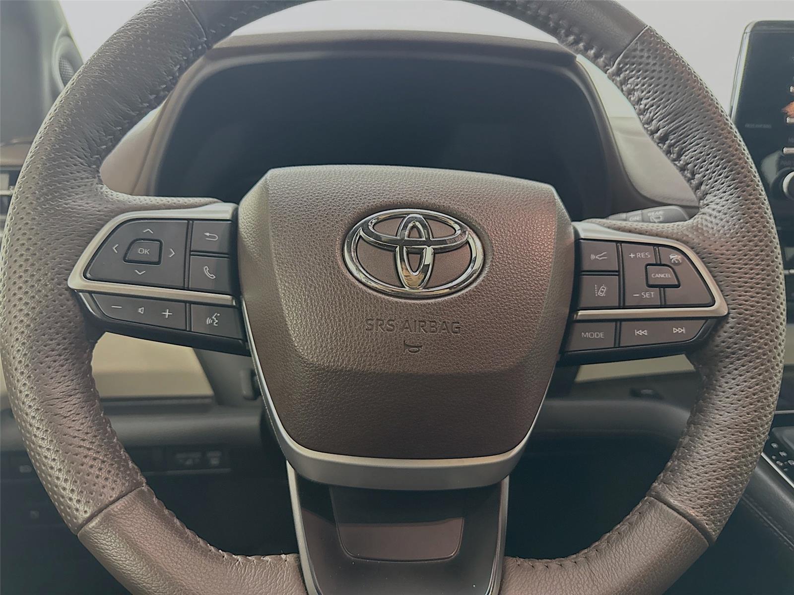 2023 Toyota Sienna Platinum photo 14