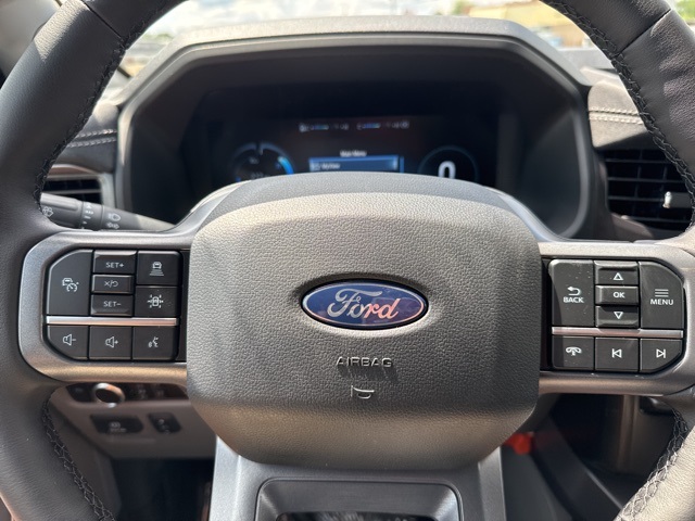 2025 Ford F-150 Lightning photo 28