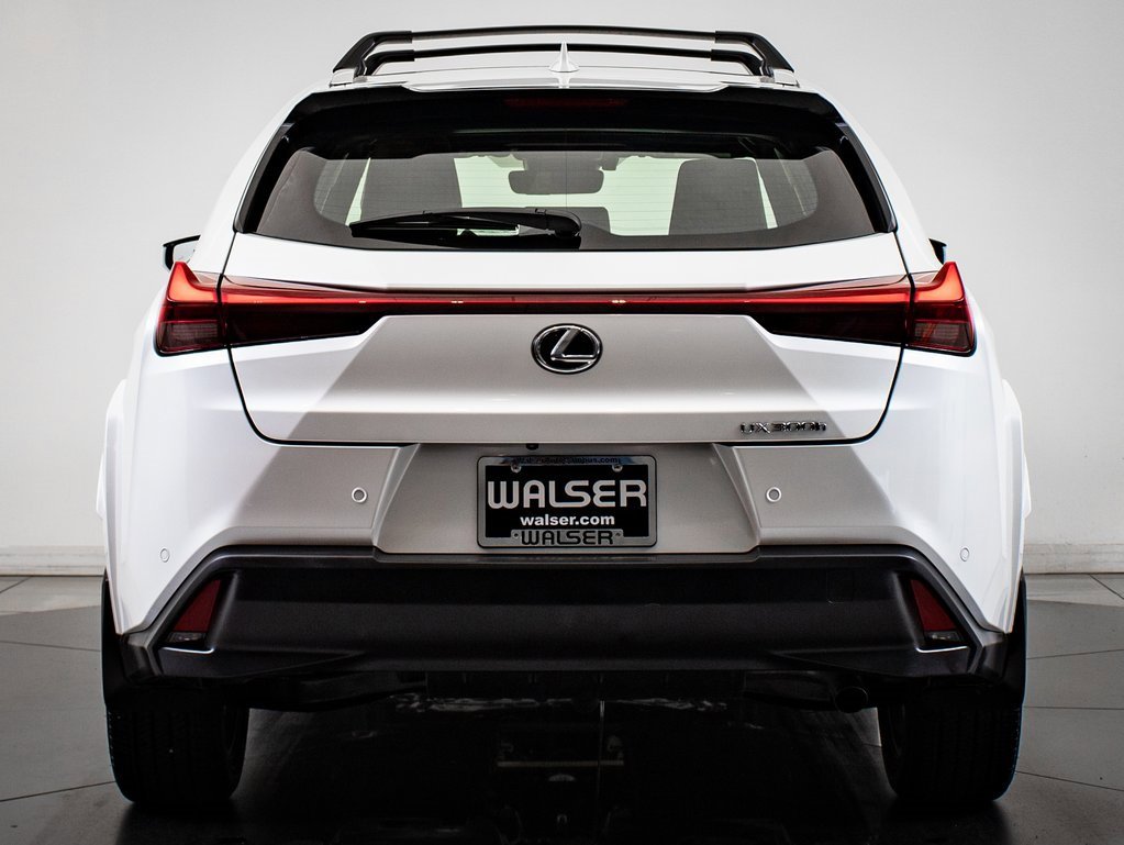 2025 Lexus UX Premium photo 7