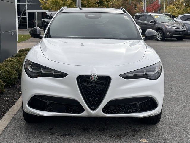 2025 Alfa Romeo Stelvio Tributo Italiano photo 2