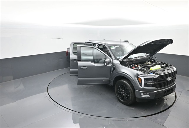 2025 Ford F-150 Platinum photo 33