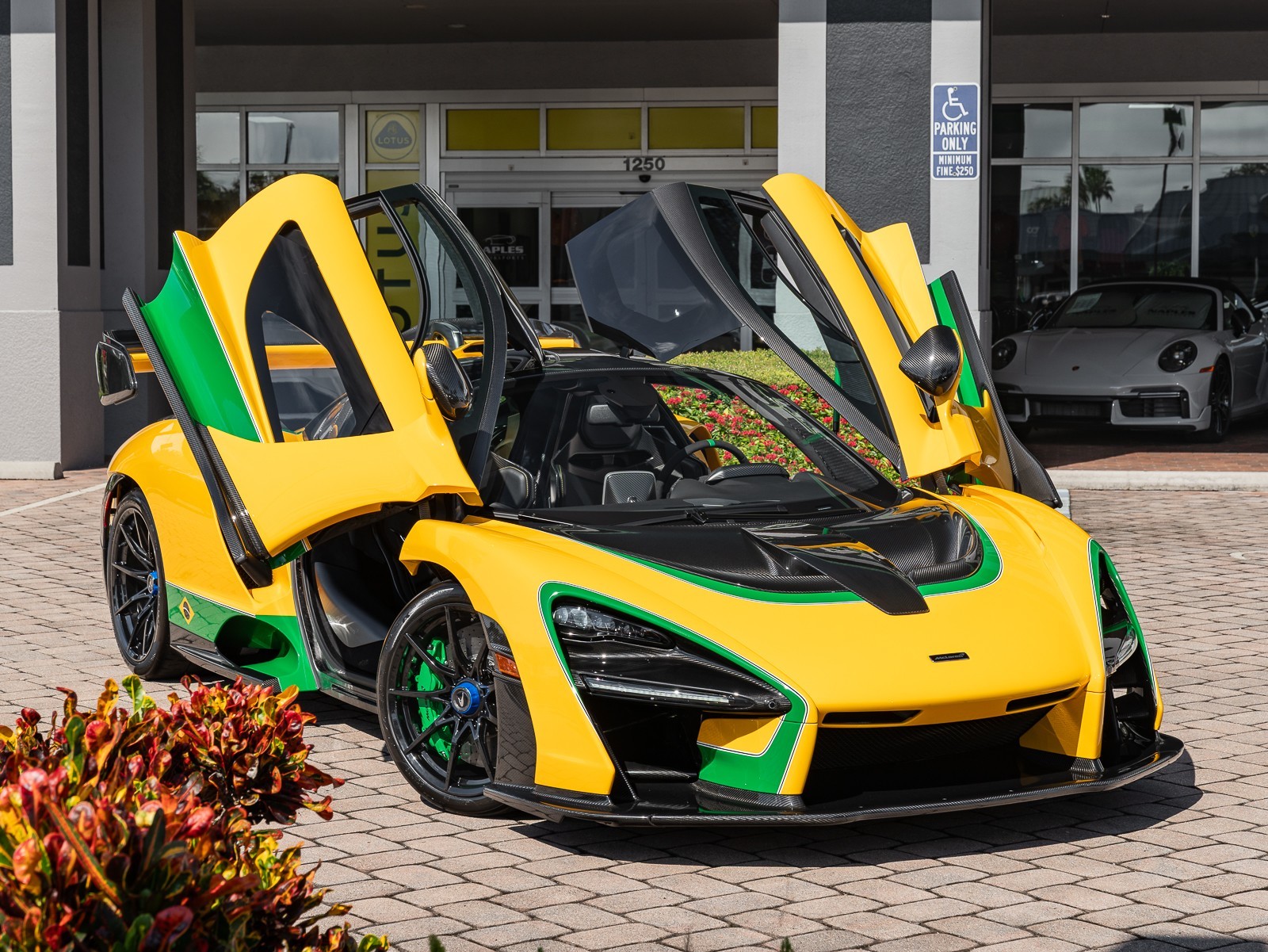 2019 Mclaren SENNA photo 17