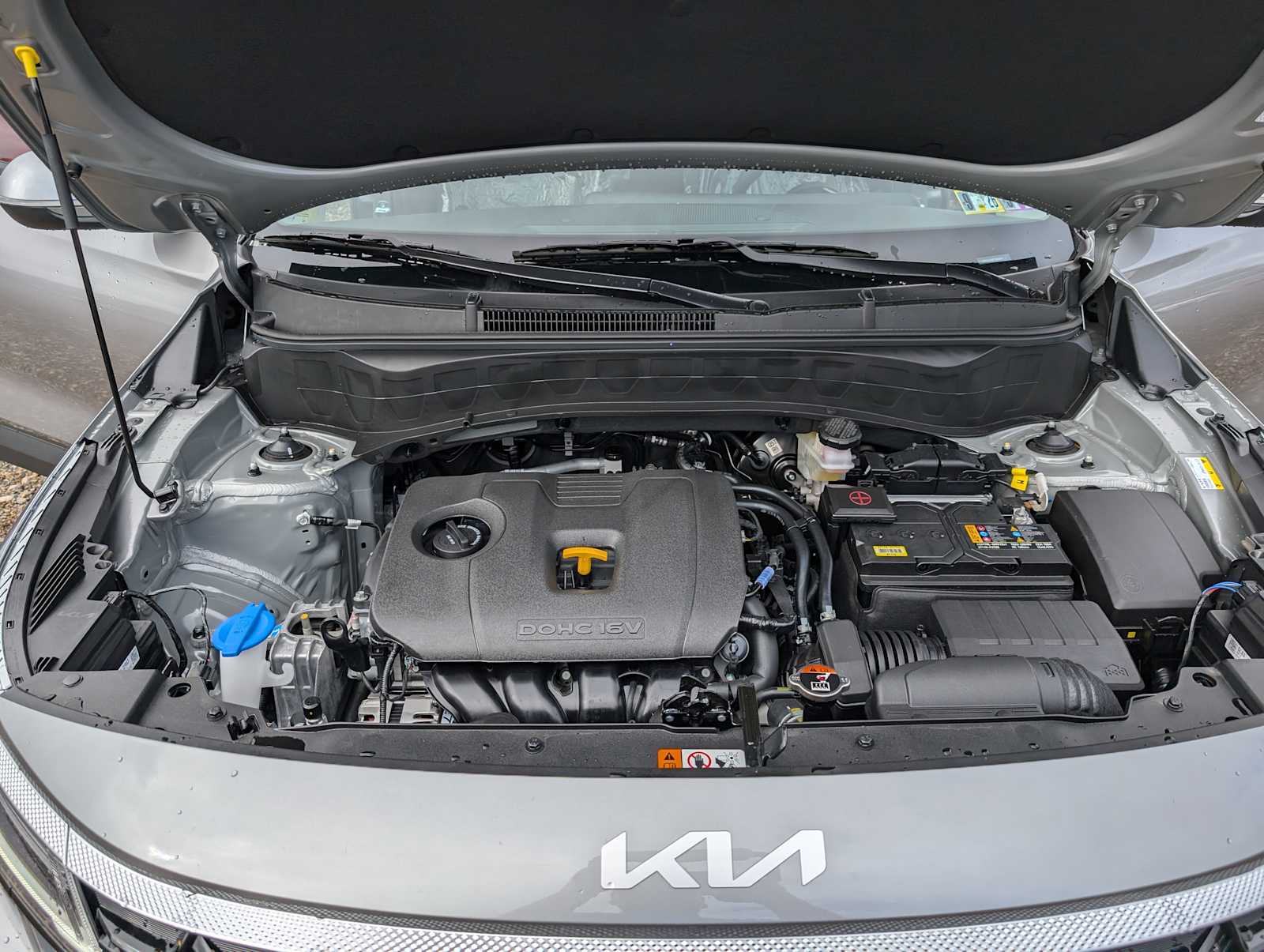 2026 Kia Seltos S photo 10