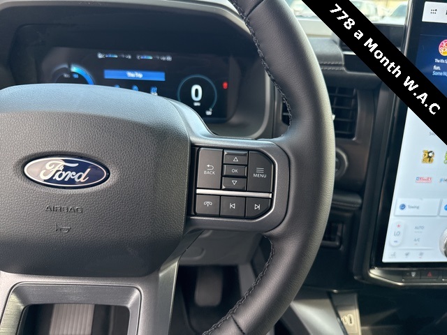 2025 Ford F-150 Lightning photo 16