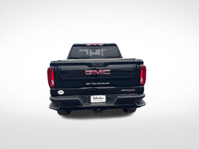 2023 Gmc Sierra 1500 AT4X photo 3
