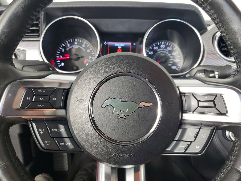 2019 Ford Mustang GT photo 19