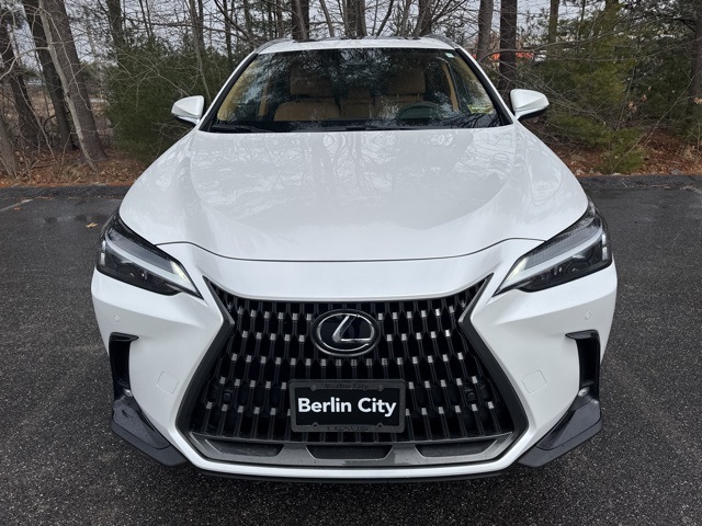 2025 Lexus NX photo 5