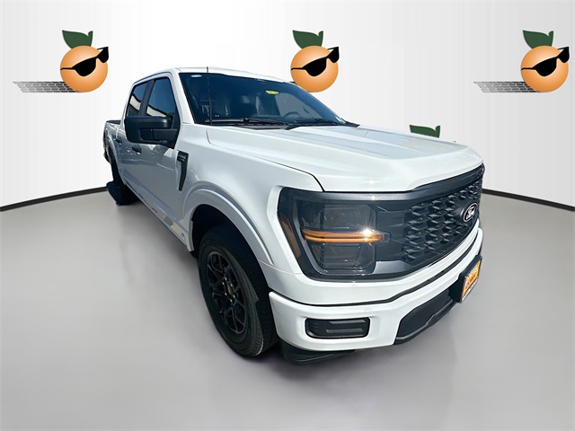 2025 Ford F-150 STX's photo