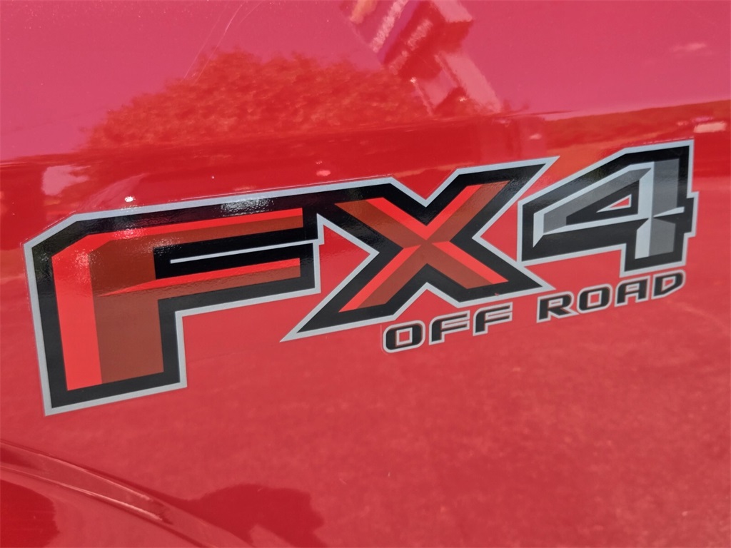 2019 Ford F-150 XL photo 11