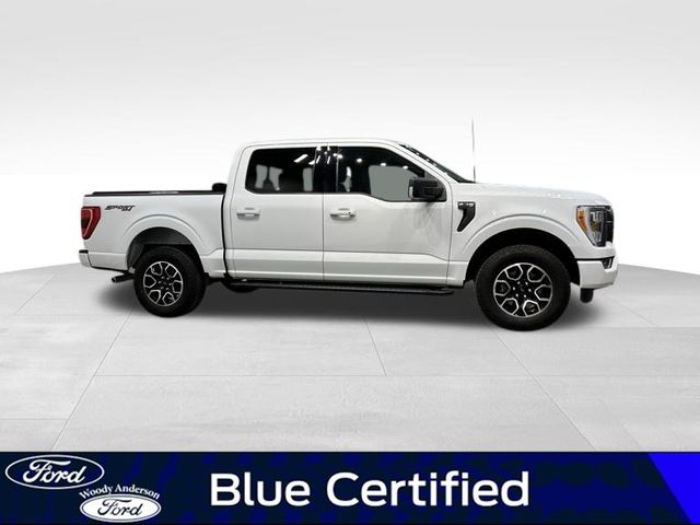 2023 Ford F-150 XLT photo 4