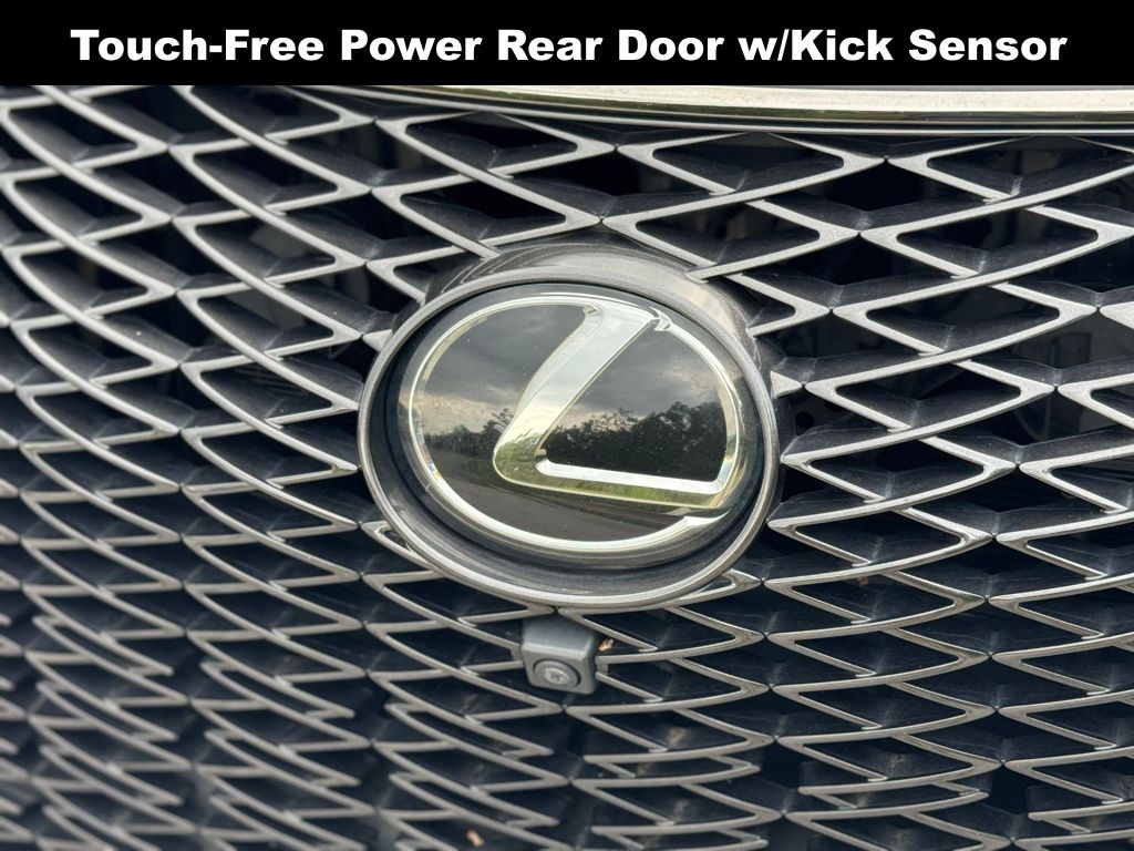 2021 Lexus RX 350 F SPORT Handling photo 4