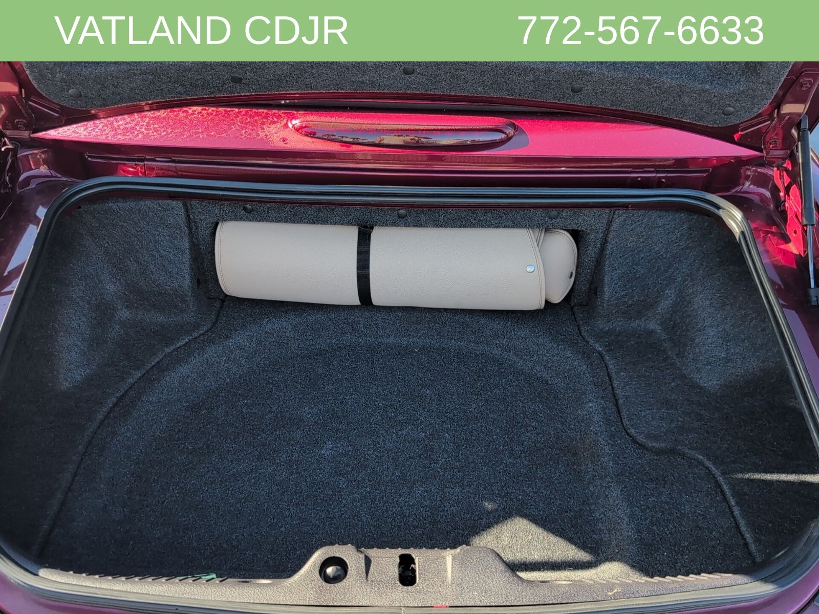 2004 Ford Thunderbird photo 24