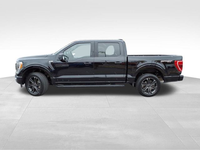 2022 Ford F-150 XLT photo 3