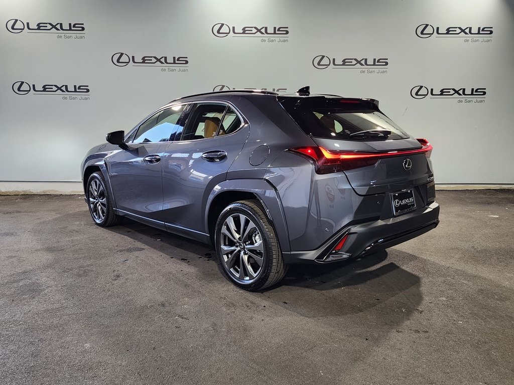 2025 Lexus UX photo 8