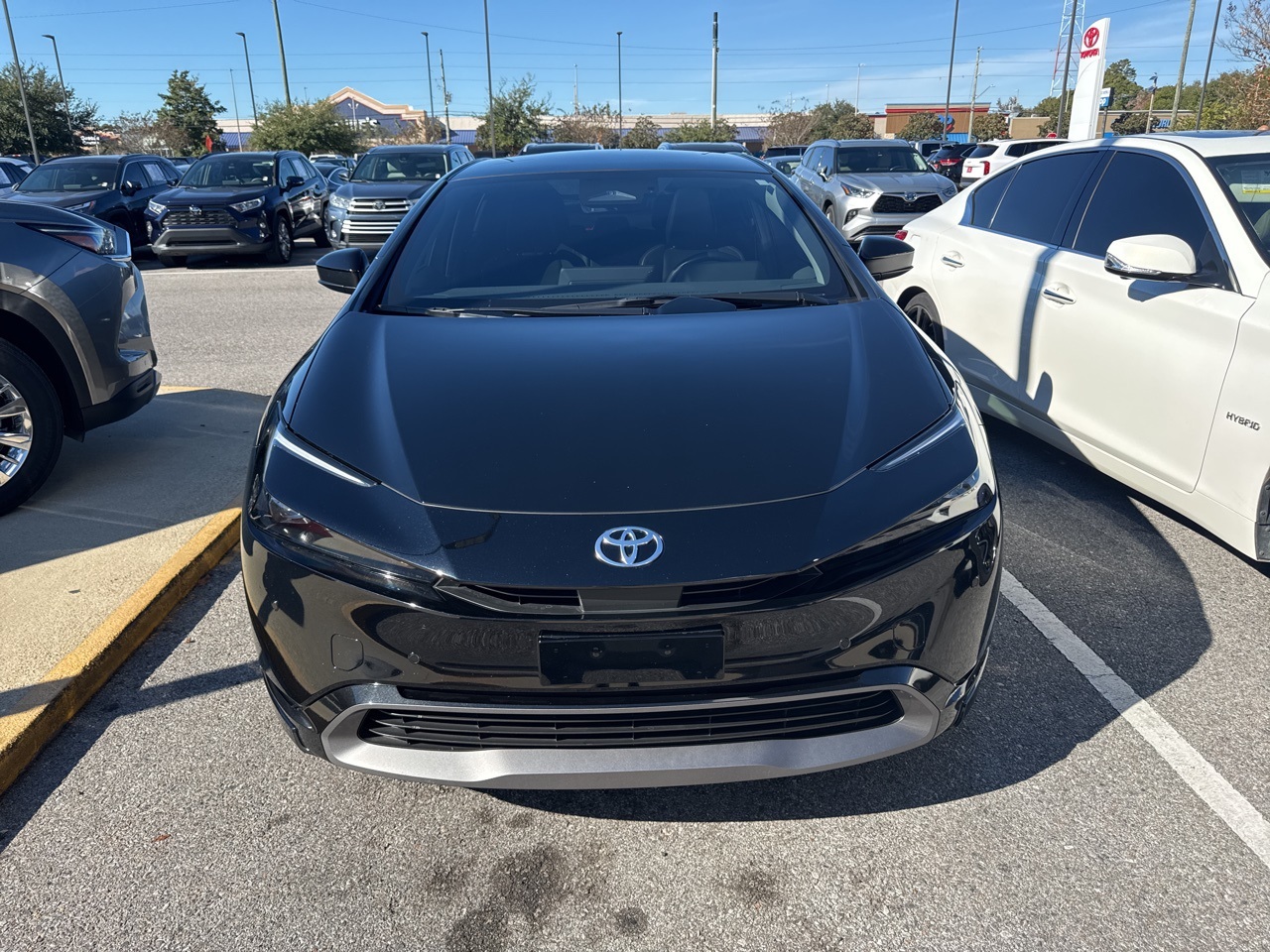 2024 Toyota Prius XLE's photo