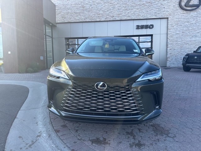2025 Lexus RX 350h Luxury photo 3