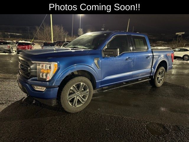 2022 Ford F-150 XLT's photo