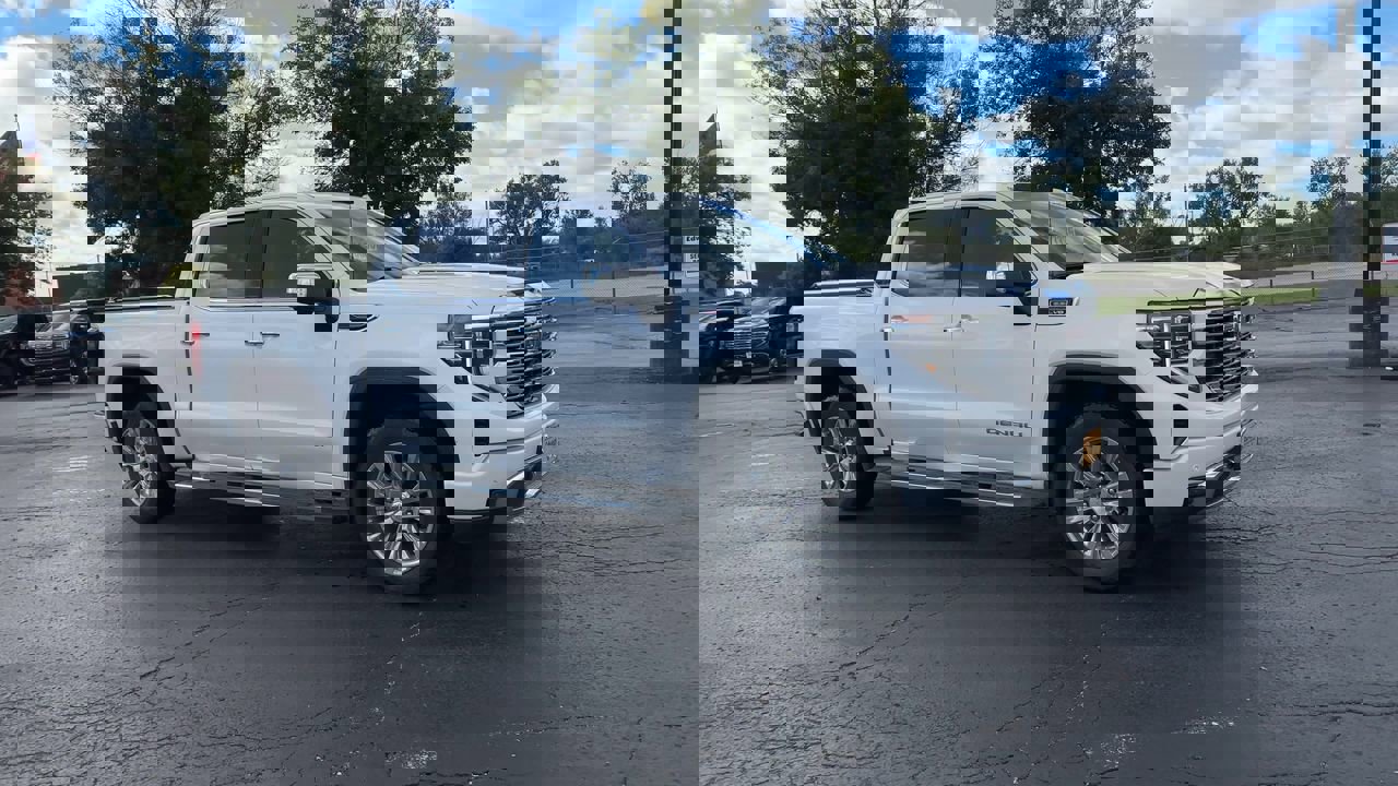 2024 Gmc Sierra 1500 Denali photo 2