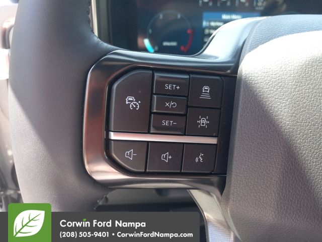2025 Ford F-350 Platinum photo 19