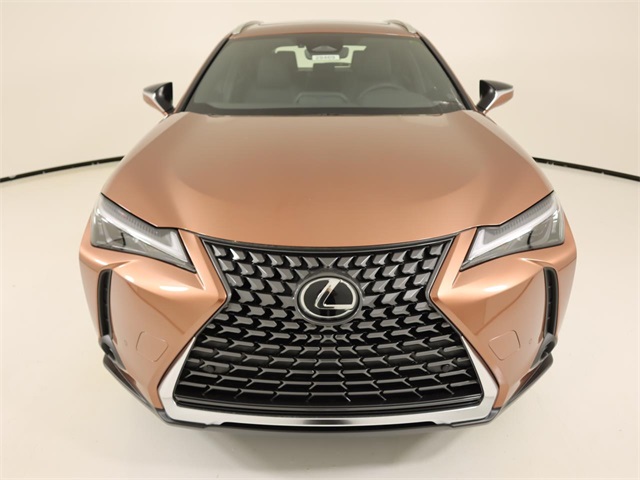 2025 Lexus UX Premium photo 7