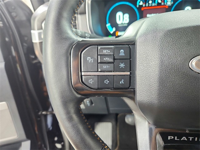 2023 Ford F-150 Platinum photo 27