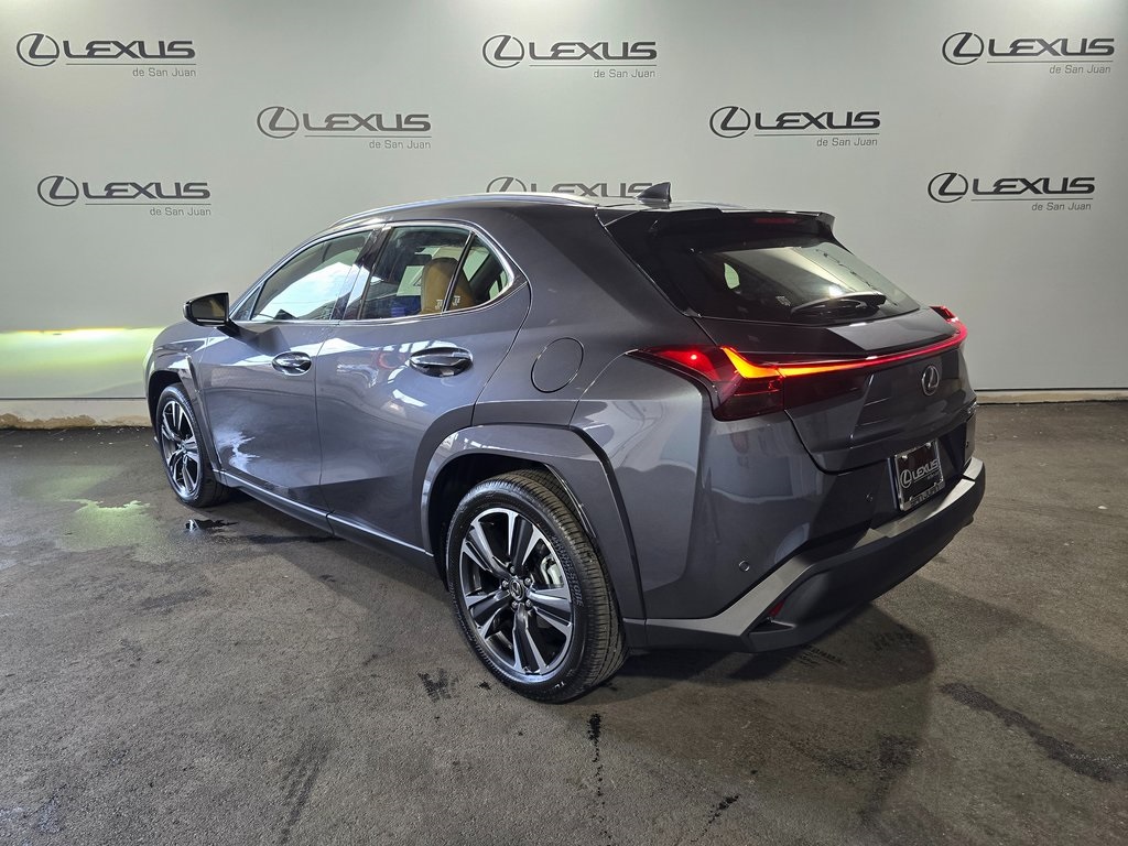 2025 Lexus UX photo 7