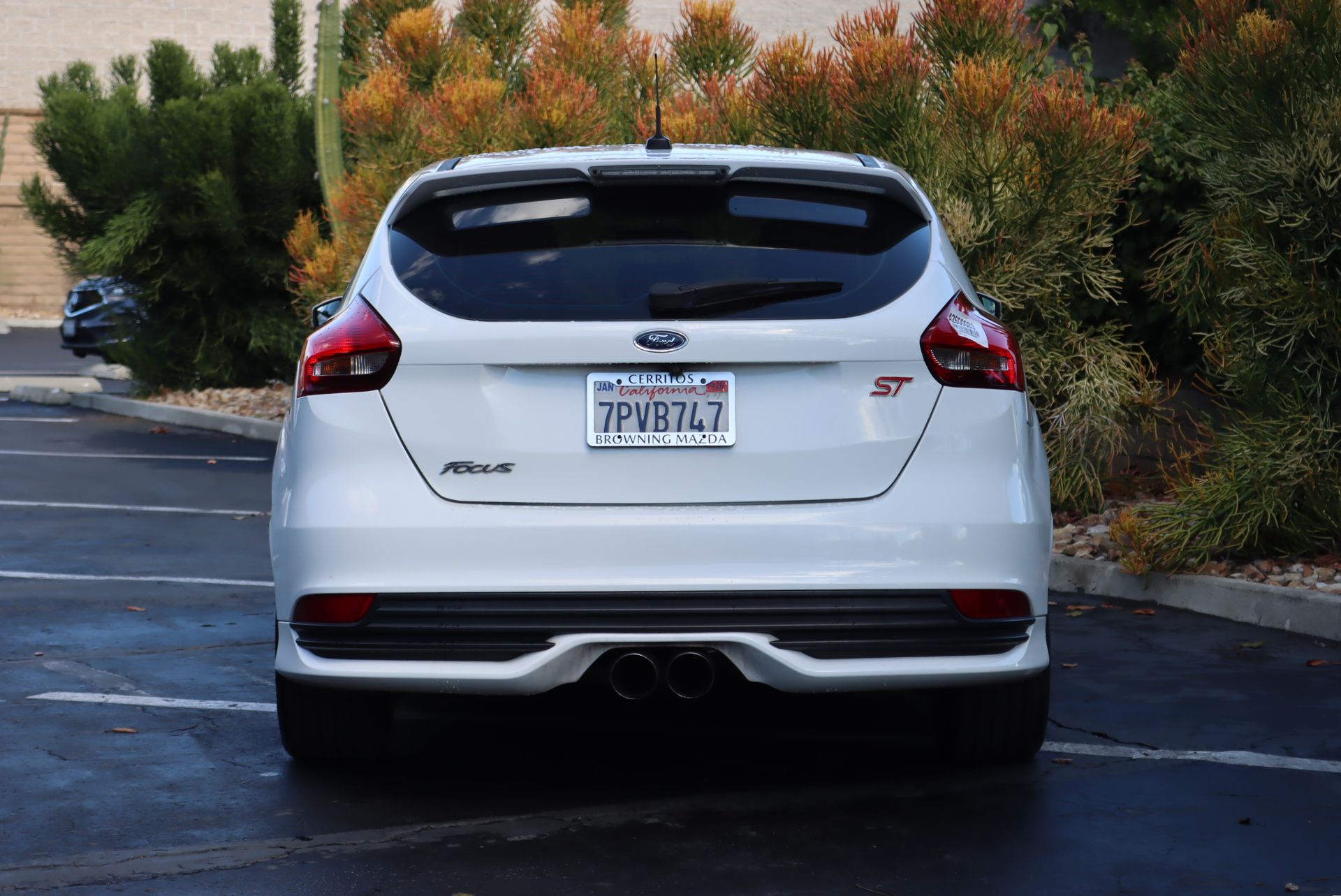 2015 Ford Focus ST photo 4