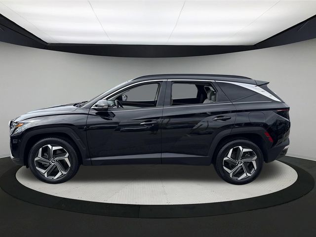2023 Hyundai Tucson Limited photo 10