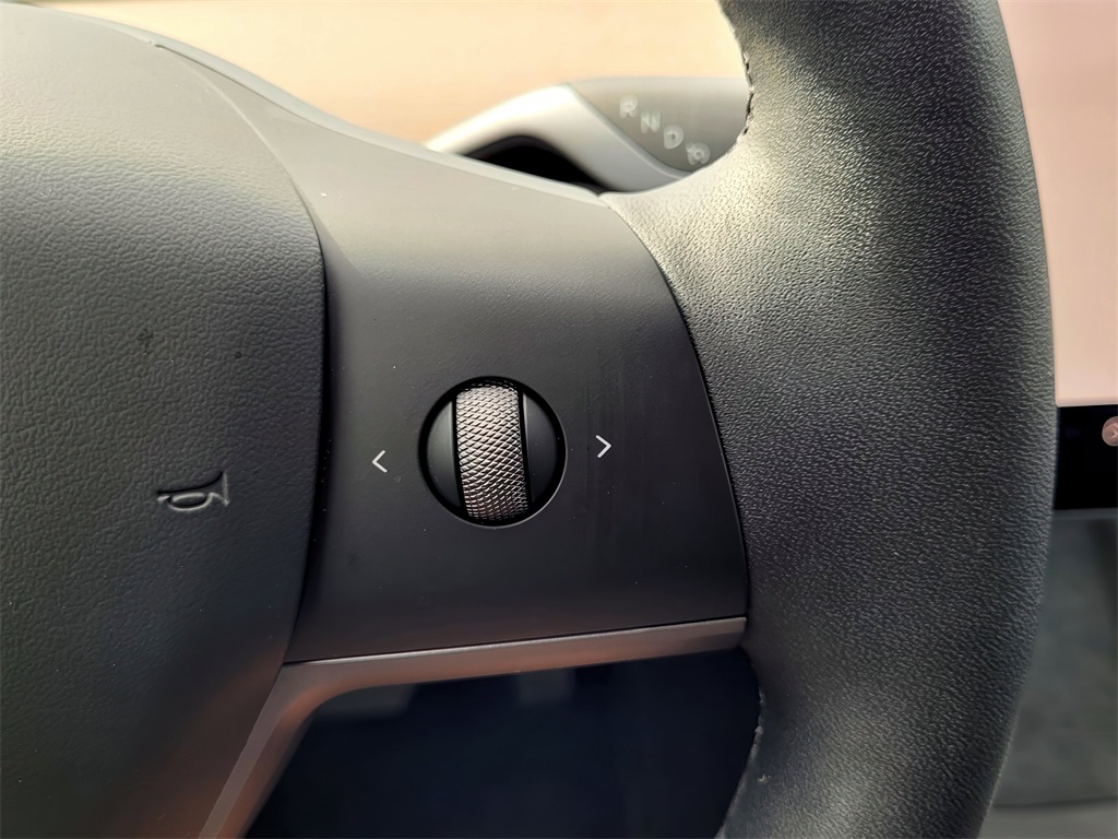 2025 Tesla Model Y Long Range photo 21
