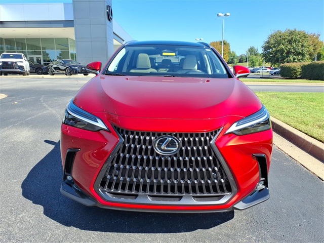 2026 Lexus NX 350h Luxury AWD photo 8