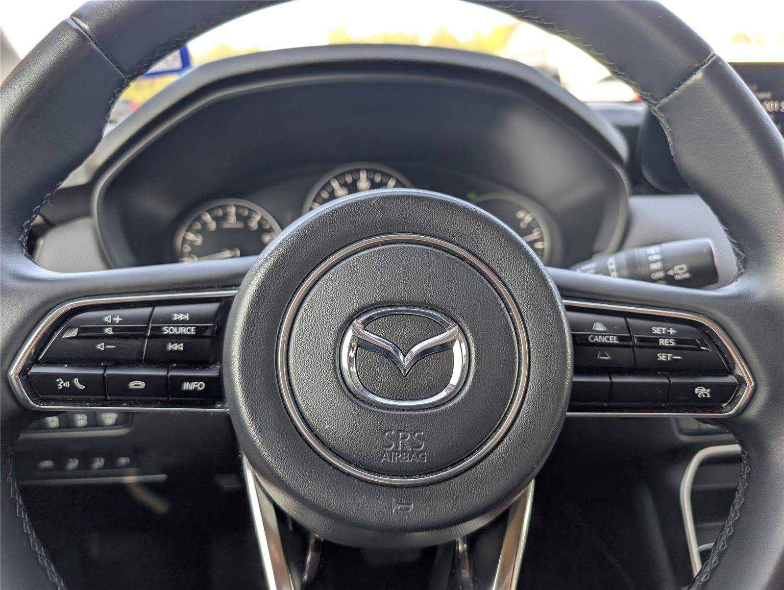 2024 Mazda CX-90 3.3 Turbo Premium photo 23