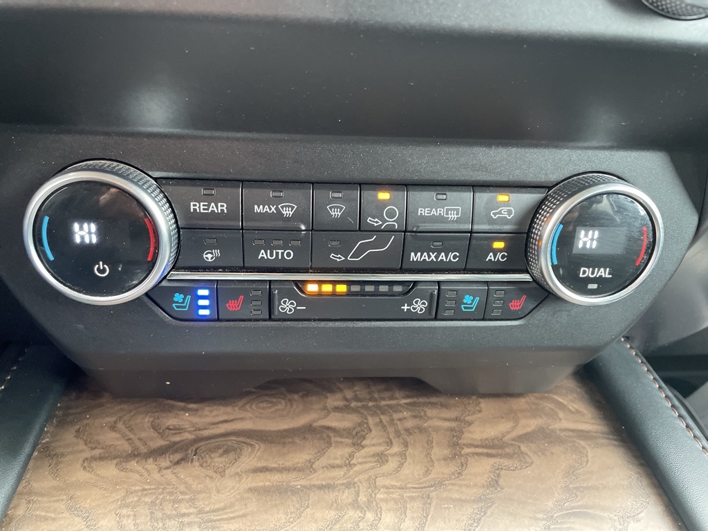 2020 Ford Expedition Platinum photo 16