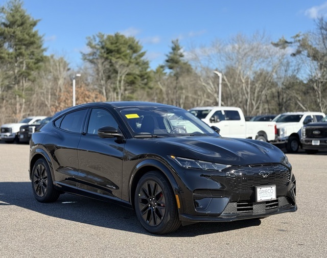 2025 Ford Mustang Mach-E Premium AWD's photo