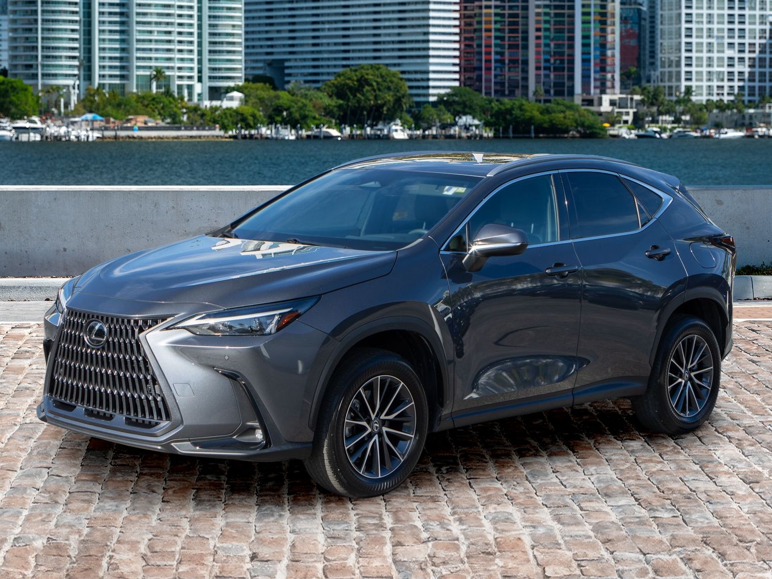 2024 Lexus NX 250's photo