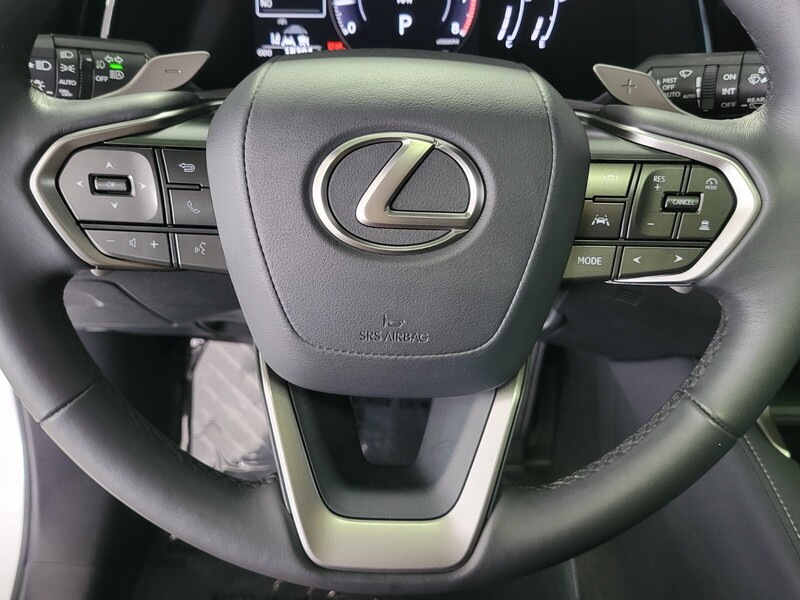 2024 Lexus RX 350 photo 18
