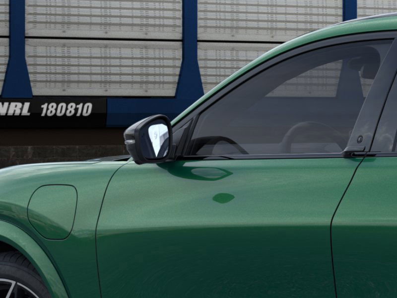 2025 Ford Mustang Mach-E GT photo 16