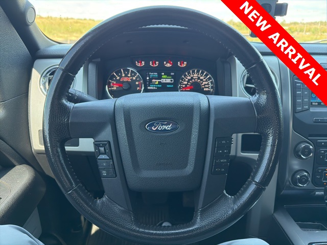 2014 Ford F-150 FX4 photo 11