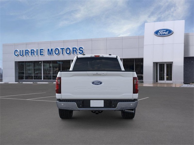 2025 FORD F-150 - Image 27