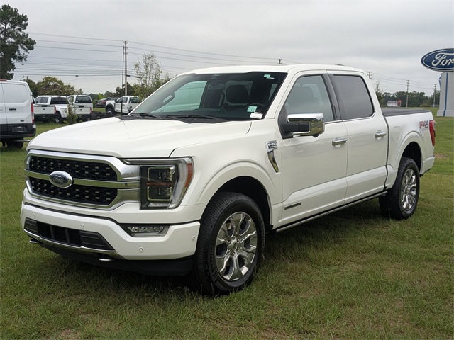 2022 Ford F-150 Platinum photo 8