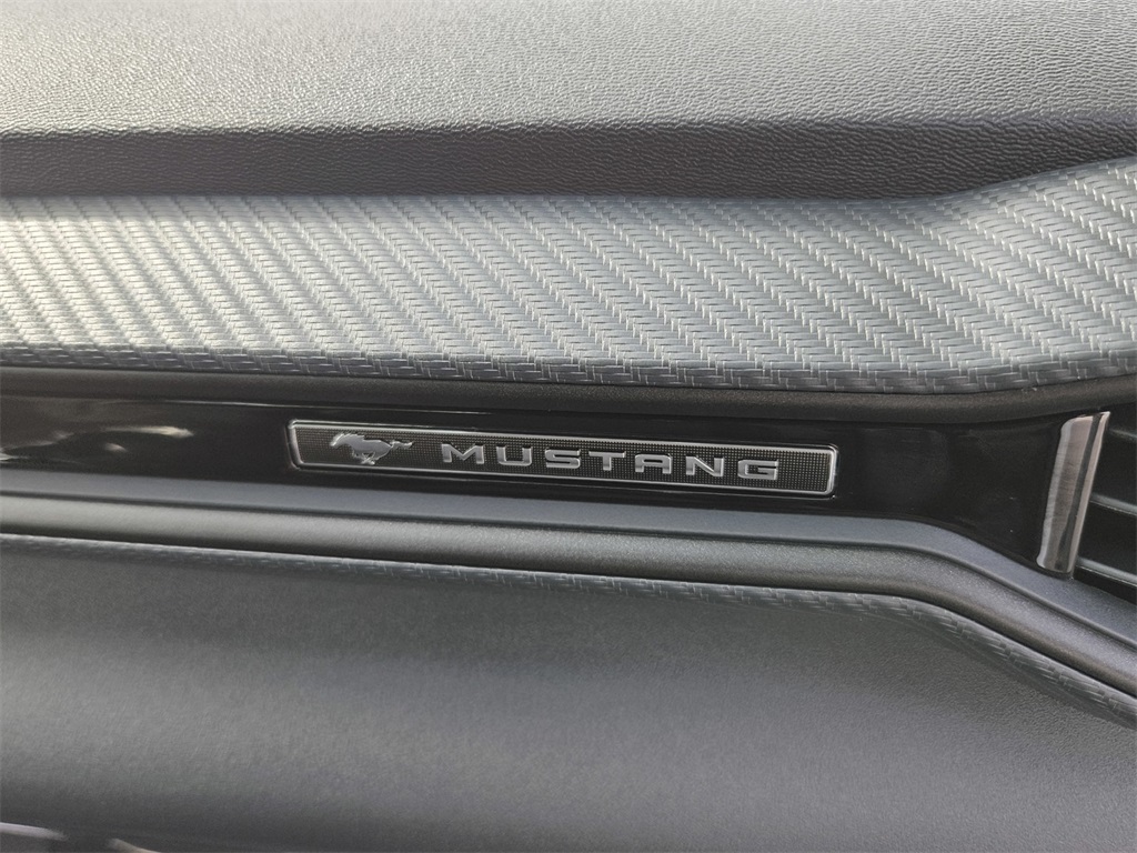 2025 Ford Mustang GT photo 24