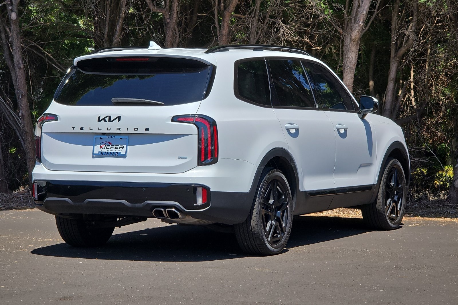 2025 Kia Telluride X-Line photo 2