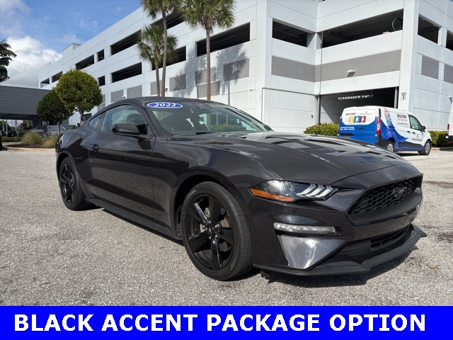 2022 Ford Mustang EcoBoost's photo