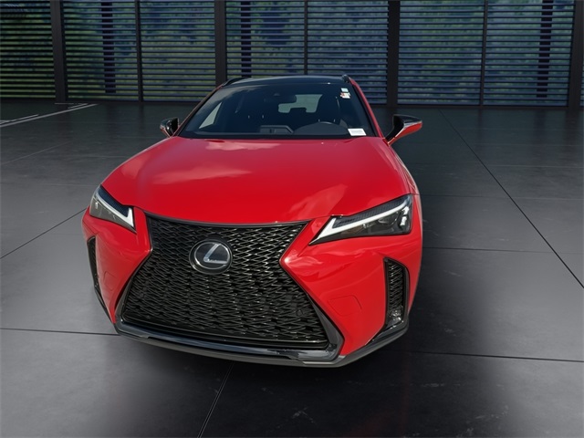 2024 Lexus UX 250h F SPORT Handling photo 3