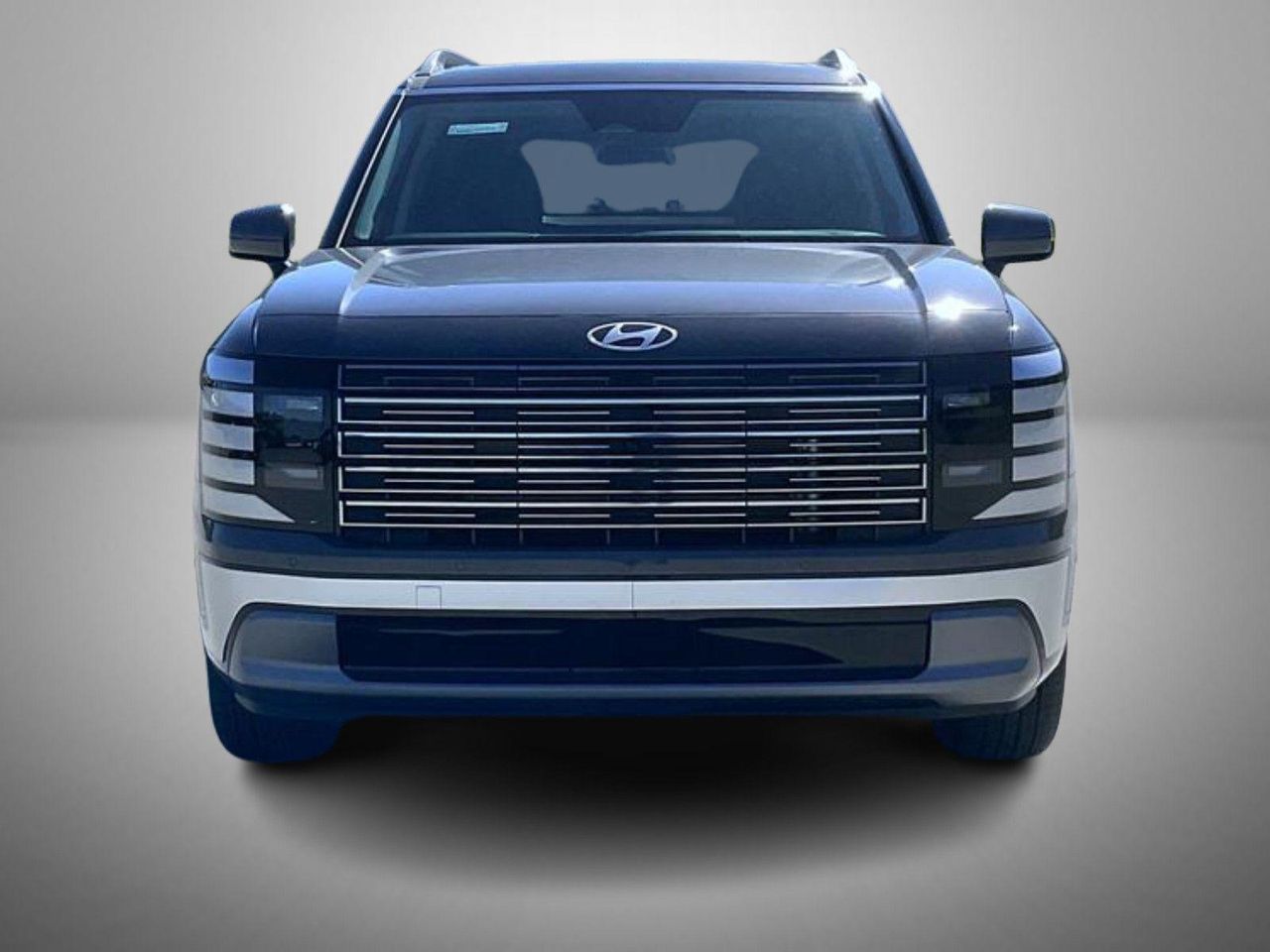 2026 Hyundai Palisade Limited photo 2