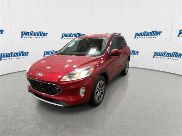 2020 Ford Escape SEL photo 4