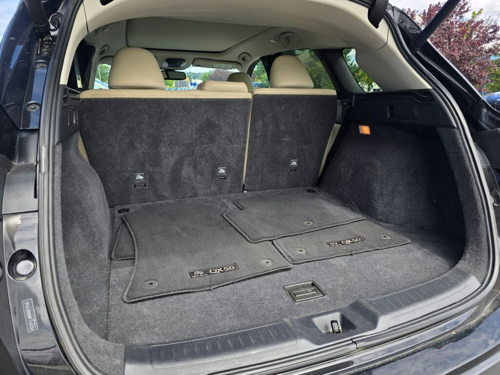 2021 Infiniti QX50 Luxe photo 12