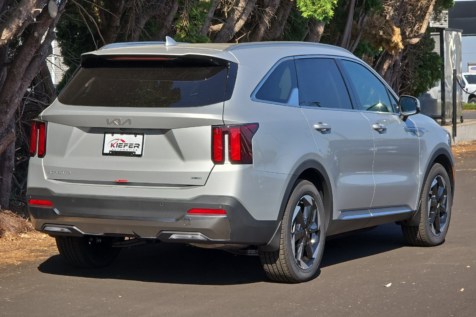 2025 Kia Sorento Hybrid EX photo 3
