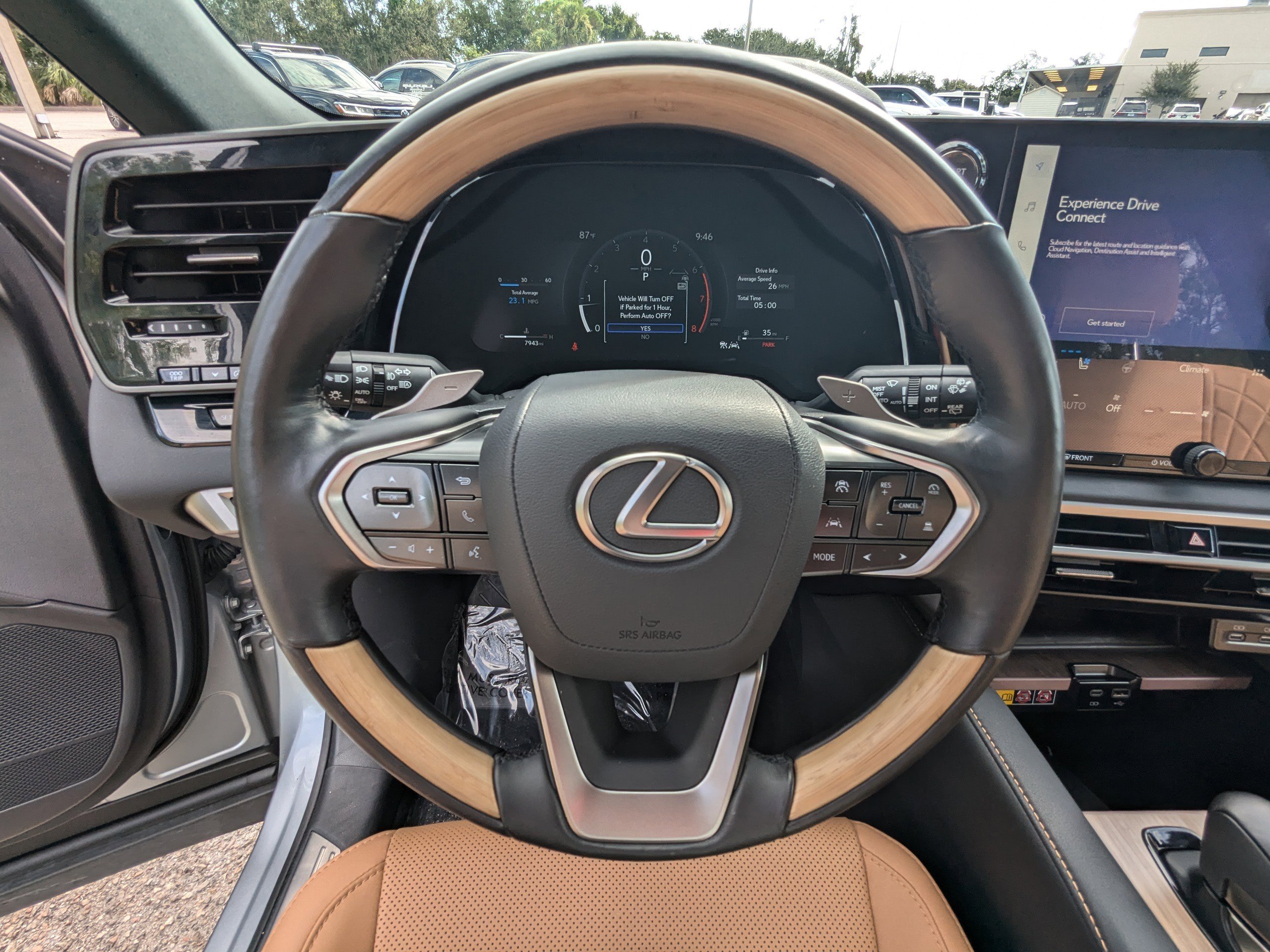 2025 Lexus RX 350 photo 33